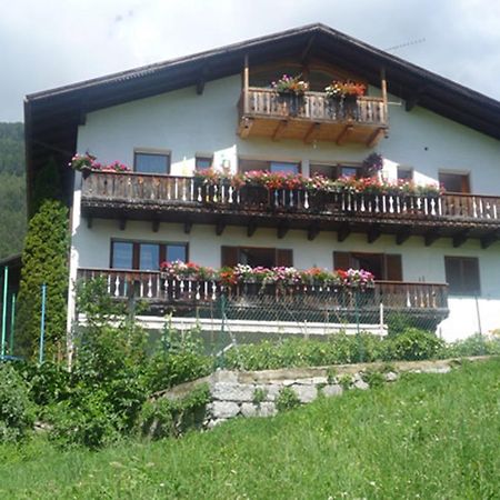 Bauernof Mittermueller Apartment เฟลด์ทูร์นส์ ภายนอก รูปภาพ